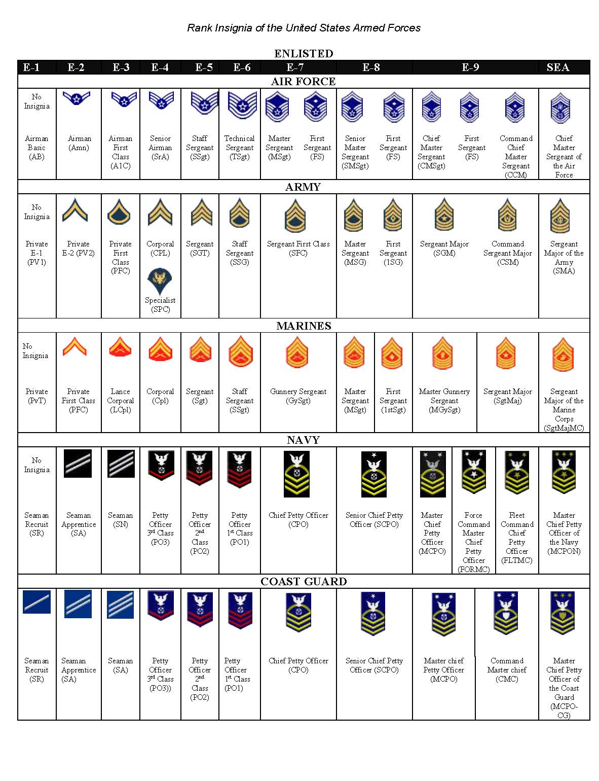 Afh 1 enlisted promotion study guides